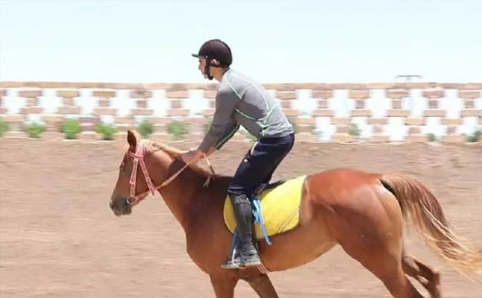 Horseback riding in torghabeh