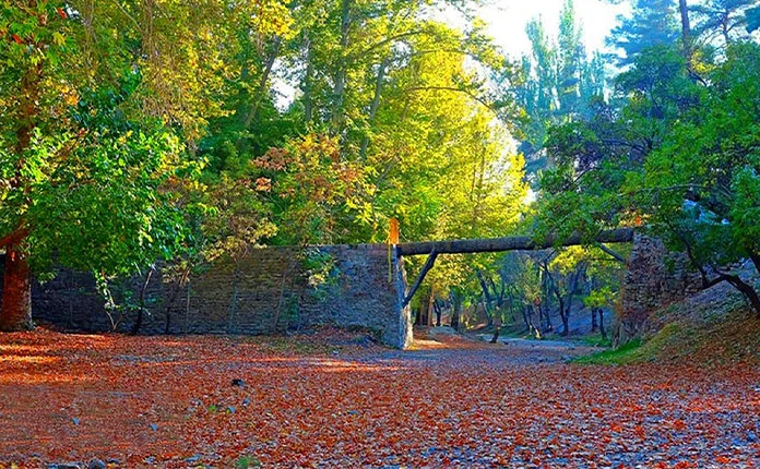 Vakil Abad garden in autumn